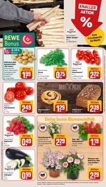 REWE PETZ Prospekt woche 20 Seite 7