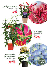 Deka Tuin folder Pagina 3