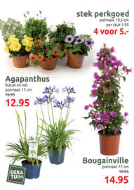 Deka Tuin folder Pagina 8