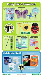 Dollar Tree flyer week 20 Page 11