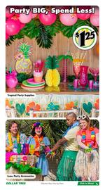Dollar Tree flyer week 20 Page 6