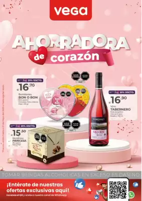 Catálogo Vega (válido hasta 31-05)