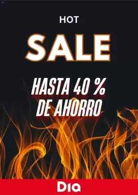 Catálogo Supermercados DIA (válido hasta 19-05)