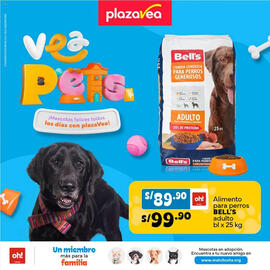 Catálogo Plaza Vea Página 1
