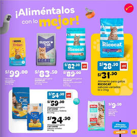 Catálogo Plaza Vea Página 13