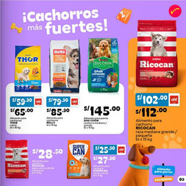 Catálogo Plaza Vea Página 9