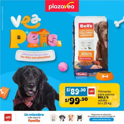 Catálogo Plaza Vea (válido hasta 2-06)