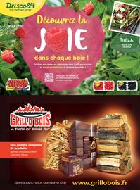 Catalogue Costco page 43
