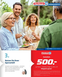 Hartlauer Flugblatt Seite 29