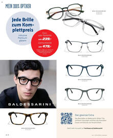 Hartlauer Flugblatt Seite 8