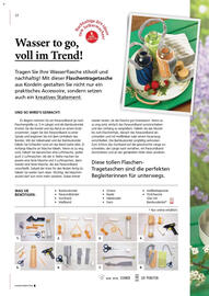 Pagro Diskont Flugblatt Seite 12