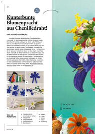 Pagro Diskont Flugblatt Seite 22