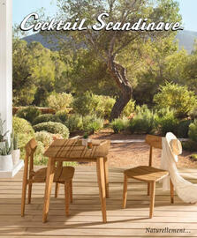 Catalogue Cocktail Scandinave page 301