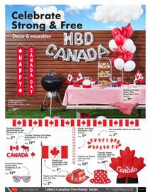 Party City flyer Page 8