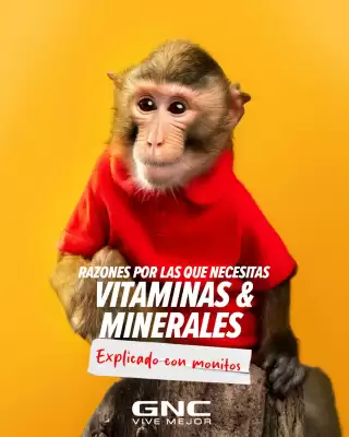 Catálogo GNC (válido hasta 31-05)