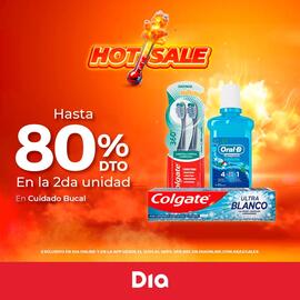 Catálogo Supermercados DIA semana 20 Página 2