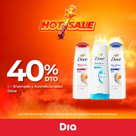 Catálogo Supermercados DIA semana 20 Página 3