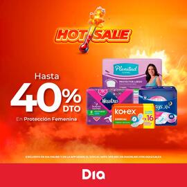 Catálogo Supermercados DIA semana 20 Página 4