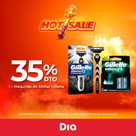 Catálogo Supermercados DIA semana 20 Página 5