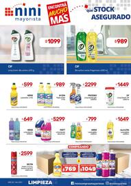 Catálogo Nini Mayorista semana 20 Página 10