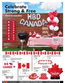 Party City flyer Page 8