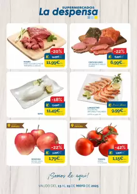 Folleto Supermercados La Despensa (válido hasta el 19-05)