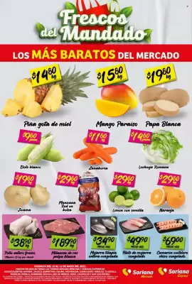 Catálogo Soriana Súper (válido hasta 15-05)