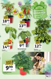 Auchan gazetka tydzień 20 Strona 58