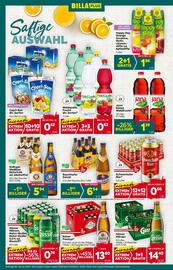 Billa Box Flugblatt woche 20 Seite 14