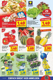 NP Discount Prospekt woche 20 Seite 3