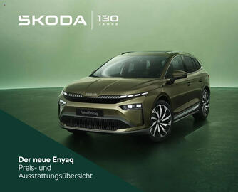 Skoda Prospekt Seite 1