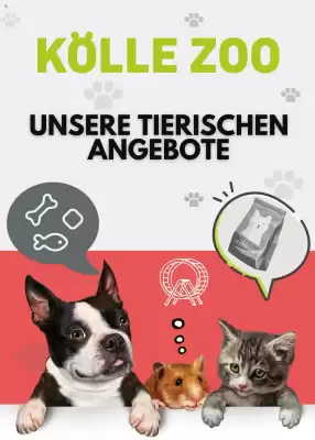 Kölle Zoo Prospekt (gültig bis 12-06)