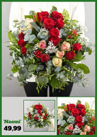 Blumen Risse Prospekt Seite 5