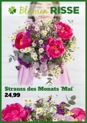 Blumen Risse Prospekt (gültig bis 28-05)