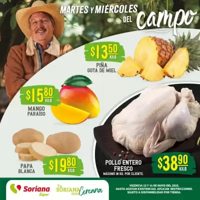 Catálogo Soriana Mercado (válido hasta 14-05)
