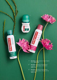 Rossmann gazetka Strona 62