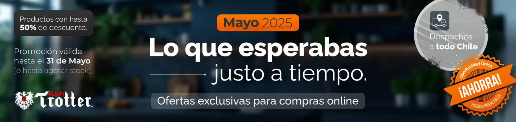 Catálogo Albin Trotter (válido hasta 31-05)