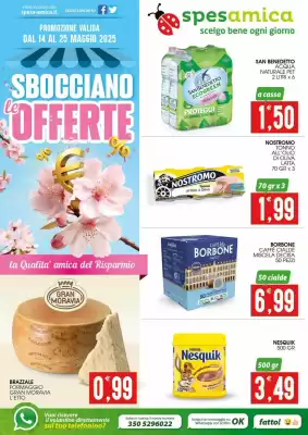 Volantino SpesAmica