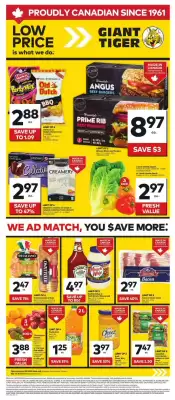 Giant Tiger flyer (valid until 21-05)
