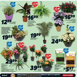 IGA flyer week 20 Page 10