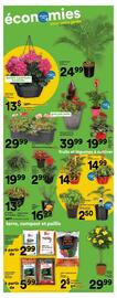 Super C flyer week 20 Page 17