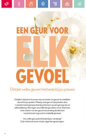 Oriflame folder Pagina 4