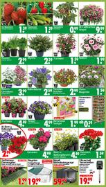 Wreesmann Prospekt woche 20 Seite 3