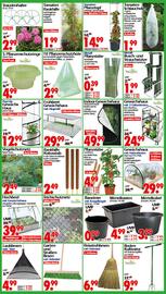 Wreesmann Prospekt woche 20 Seite 4
