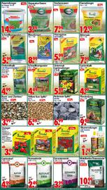 Wreesmann Prospekt woche 20 Seite 8