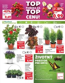 Kaufland SK akciós újság hét 20 Oldal 9