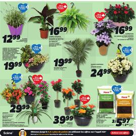 IGA flyer week 20 Page 11