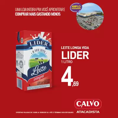 Catálogo Calvo Atacadista