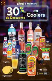 Catálogo Walmart Página 13
