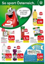 Spar Flugblatt woche 20 Seite 6